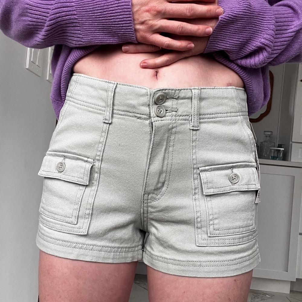Wallflower mint high Rise stretch  Shorts